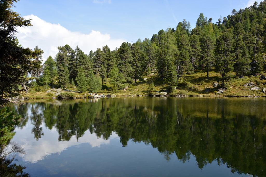 Haus Ofner Am Kreischberg Bed and Breakfast Sankt Georgen ob Murau Eksteriør billede