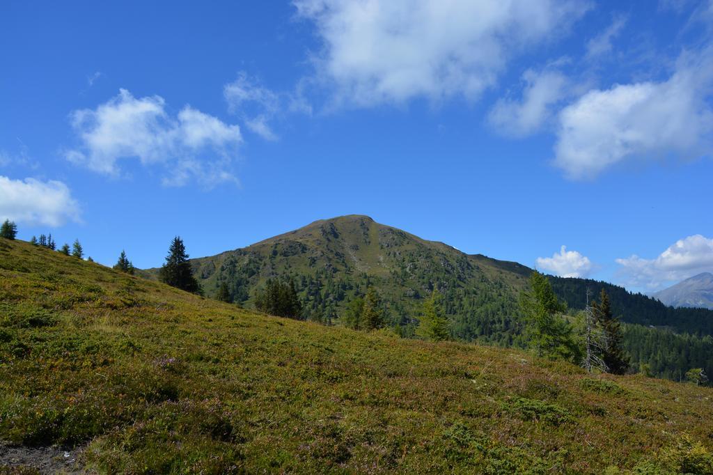Haus Ofner Am Kreischberg Bed and Breakfast Sankt Georgen ob Murau Eksteriør billede
